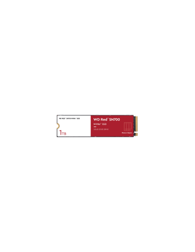 SSD POWERED BY SANDISK WD Red (M.2